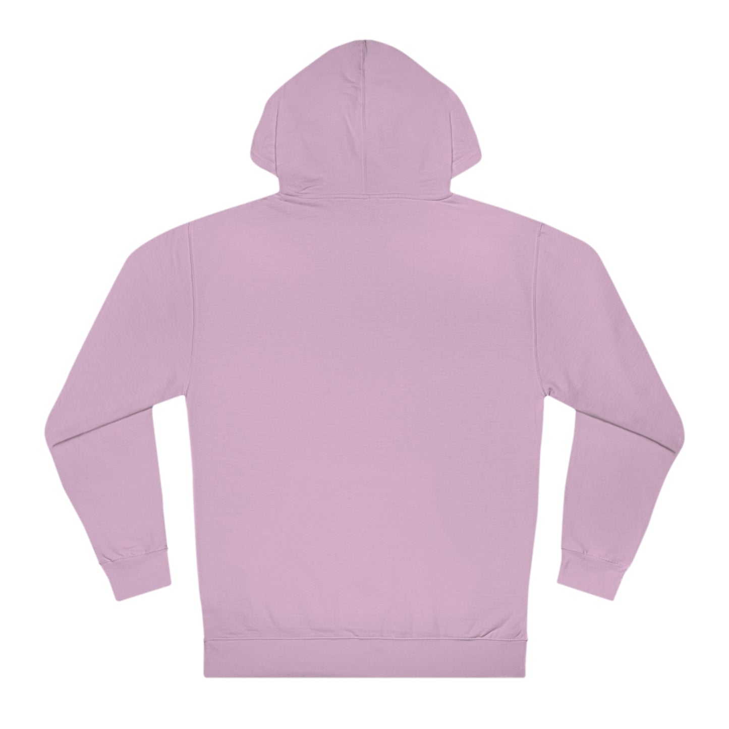 OAO Brand Hoodie