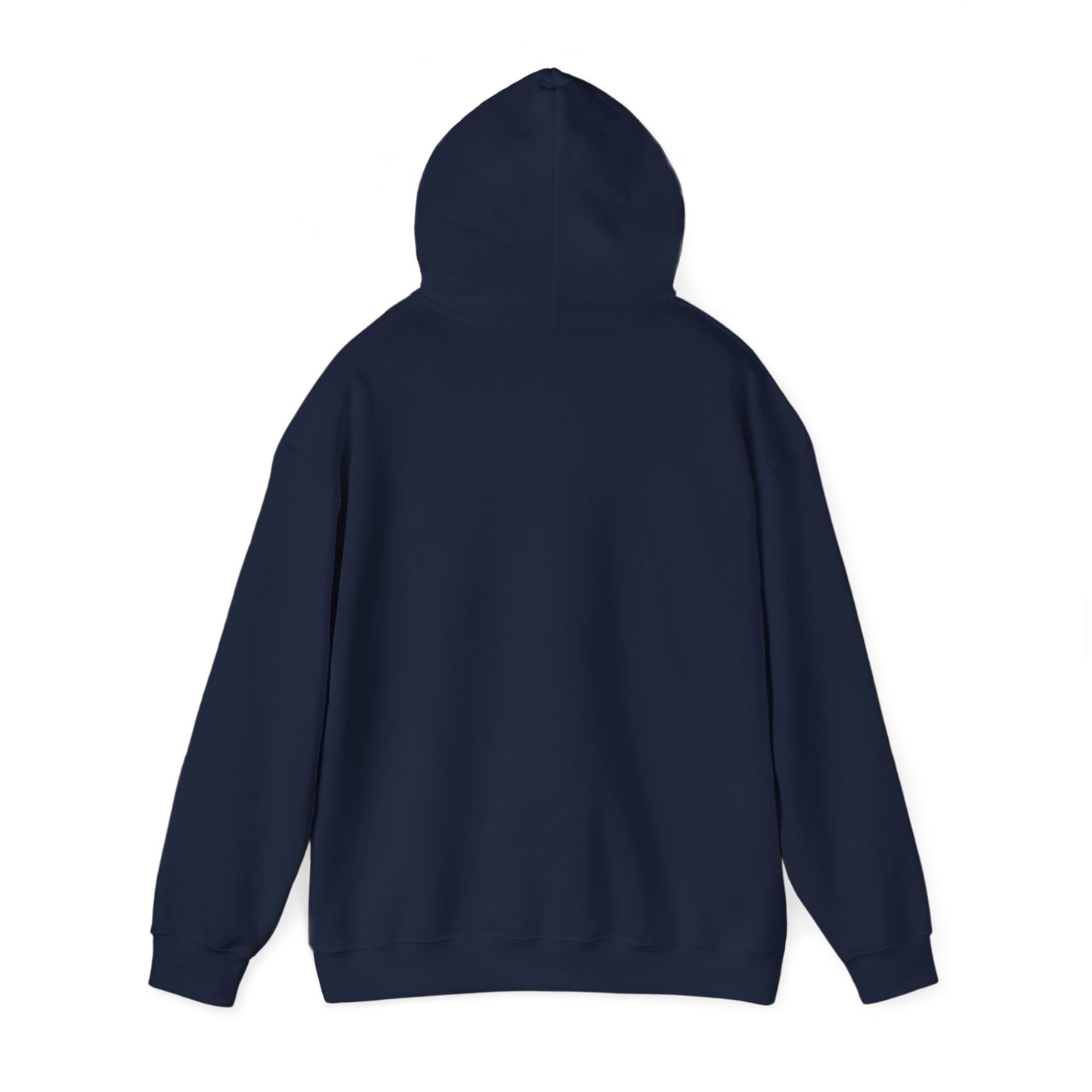 OAODrip.com Hooded Sweatshirt