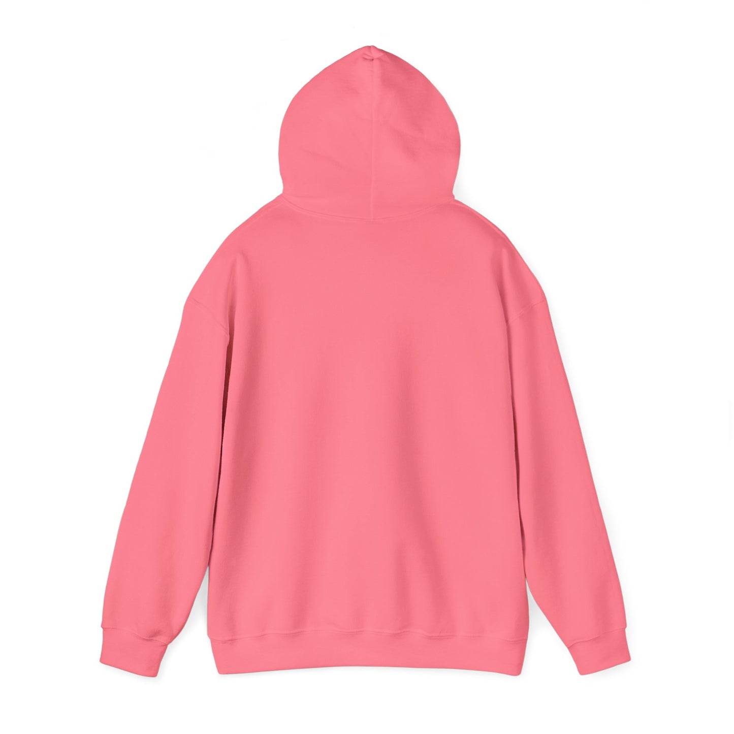 OAODrip.com Hooded Sweatshirt