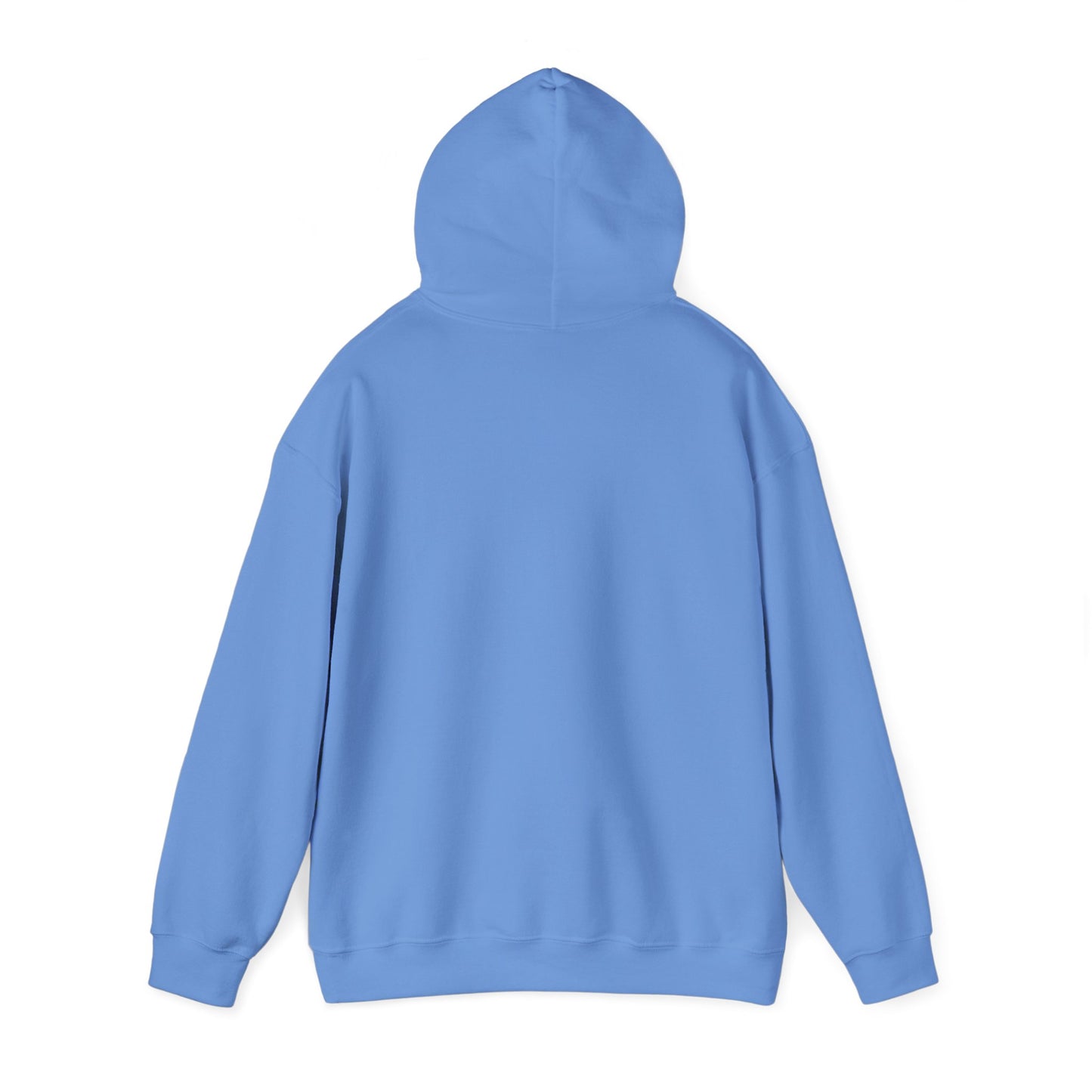 OAODrip.com Hooded Sweatshirt