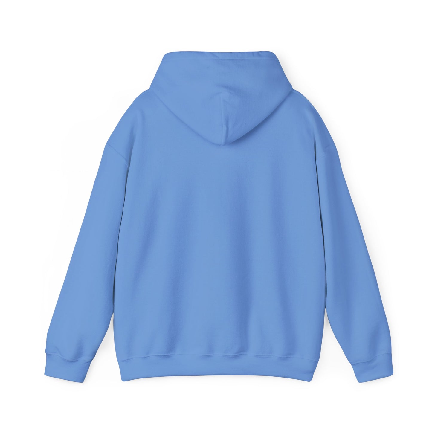 OAODrip.com Hooded Sweatshirt